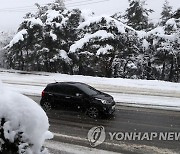 설경 장관인 대관령