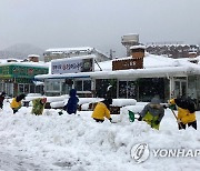 속초시청 직원 제설작업