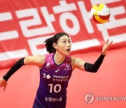 서브하는 김연경