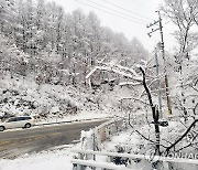 강원 화천 산간에 쌓인 눈