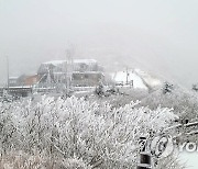 겨울왕국 설악산