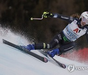 Austria Alpine Skiing World Cup