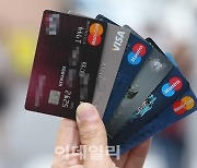 카드·캐피탈 금리 15% 웃돌아…대부업체 금리 ‘육박’