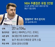 [해외스포츠 인사이드] NBA, 이젠 유럽파가 주름잡는다