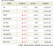 [fnRASSI]장마감, 코스닥 상승 종목(나노 30.0% ↑)