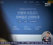 "업계서 안 하면 바보" 불법 대출 먹잇감 된 '전세 대출'