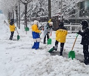 속초 주요 도심 구간 제설 대부분 '완료'