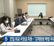 한일 외교 국장급 회동…“강제동원 해법 국내 분위기 전달”