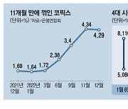 당국 압박 통했다 … 기준금리 줄인상에도 대출금리 더 내릴듯