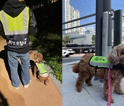 "동네 지키니 기특하죠"…유기견이 '반려견 순찰대' 된 사연