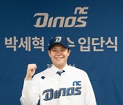 NC에 양의지의 흔적을 지워라..."박세혁 스타일대로 vs 마음고생 vs 설렘"