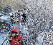 제주 기온 '뚝', 찬바람 '쌩'…낮 최고 4~8도