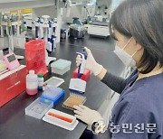 경기 돼지질병방제 피드백 사업 호평