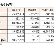 [데이터로 보는 증시] 증시 주변 자금 동향(1월 13일)