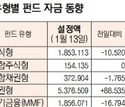 [데이터로 보는 증시]유형별 펀드 자금 동향(1월 13일)