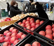 설맞이 강남구 직거래장터