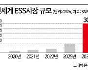 배터리-태양광, 시너지 어떻게 낼까…LG-한화, '맞손' 이유