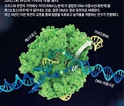 [똑똑 과학용어] 크리스퍼 유전자 가위