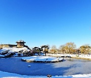 설 연휴, 수원에서 더 특별하게 보내기!