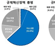 전문가들 "정부 규제혁신 방향 긍정적.. 더딘 속도는 과제"