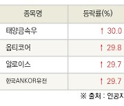 [fnRASSI]오늘의 상한가, 태양금속우 30.0% ↑