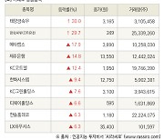 [fnRASSI]장마감, 거래소 상승 종목(태양금속우 30.0% ↑)