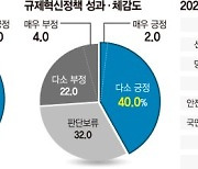 전문가 10명 중 6명 "尹정부 규제혁신 방향 잘 잡았다" 긍정 평가