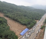 내 땅에 나무 심는데 4년간 몰랐다…'서초구와 소송전' 결말