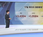 `팬다 쇼크`에 막힌 韓증시…외인 은행주 `러브콜` [증시프리즘]