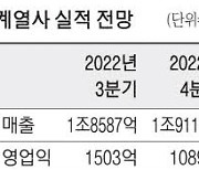 실적 우려 부각에 … 카카오 그룹株 '우수수'