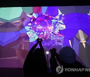 디지털 미디어 아트와 인간