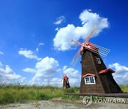 인천 소래습지공원 통과 레일바이크 추진…시민단체 반발