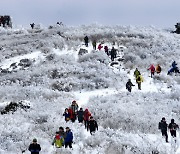 제30회 태백산 눈축제, 추위 잊고 즐길 수 있는 체험 한가득 '테마공원'