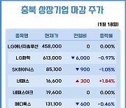 [충북기업 마감주가] 개인·외국인 쌍매수에도 하락 종목 더 많아...SK하이닉스  1.05%↓, LG화학 0.97%↓