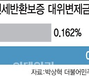 빌라왕 사태에…'깡통전세' 피해 방지책에 구멍