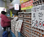 미국 아닌 스페인서 계란 수입한 이유는?