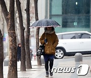 [오늘의 날씨] 대전·충남(18일, 수)…오전 곳곳 눈 '미끄럼 주의'