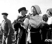 노동신문, 1960·1970년대 농촌 조명…"불같은 일념으로 기적 창조"