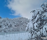 [퇴근길날씨] 제주 산지 최대 1㎝ 눈…충청·전라·경상에 눈 날림