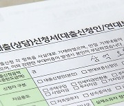 수면 위 오른 '연체'...금융당국, 선제 대응 주문