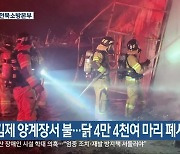 김제 양계장서 불…닭 4만 4천여 마리 폐사