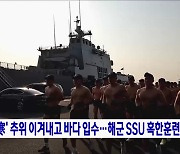 '大寒' 추위 이겨내고 바다 입수···해군 SSU 혹한훈련