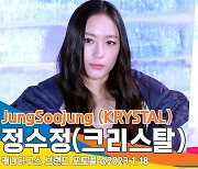 정수정(크리스탈), ‘속춥 겉따’ 역시 패션 아이콘[뉴스엔TV]