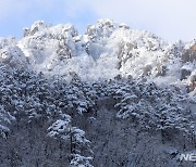 [오늘날씨]아침 -10~0도 추위…중서부 미세먼지 '나쁨'