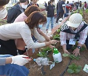 부산시, 도시농업으로 탄소중립 견인한다