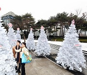 마트 옥상을 공원으로···지역 주민에 쉼터 제공 [한입뉴스]