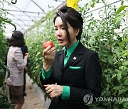 스마트팜 진출기업이 재배한 토마토 시식하는 김건희 여사