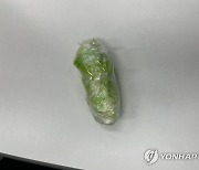 '클럽 마약' 20만명분 속옷에 숨겨 밀수…일당 구속기소