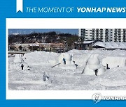 [모멘트] 겨울 도시 대관령…축제 준비로 분주