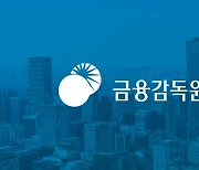 금감원 "사모CB 악용한 불공정행위 엄단…14건 조사중"